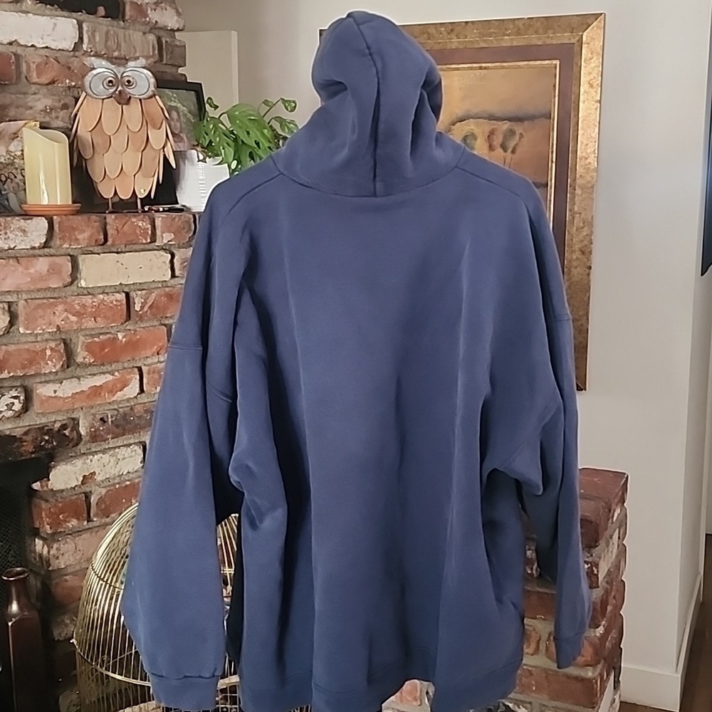 Hanes Ultimate Cotton Vintage 2006 Campapalooza Hoodie Y2K - Picture 4 of 6